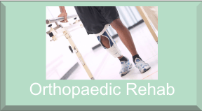 Orthorehab202